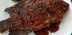 Croaker Fish